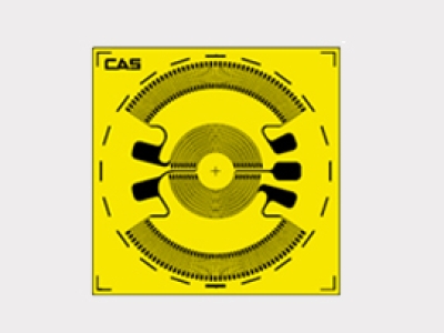 韓國(guó)CAS凱士Diaphragm D-Series  應(yīng)變器
