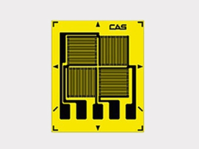 韓國(guó)CAS凱士Full-Bridge FB-Series Strain Gage (Special order)  應(yīng)變器