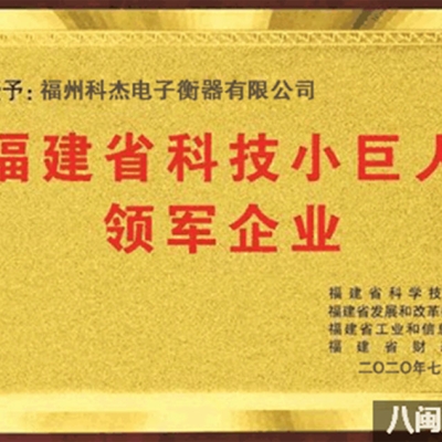 福州科杰電子衡器有限公司榮獲 2020年福建省科技小巨人領(lǐng)軍企業(yè)等榮譽稱號